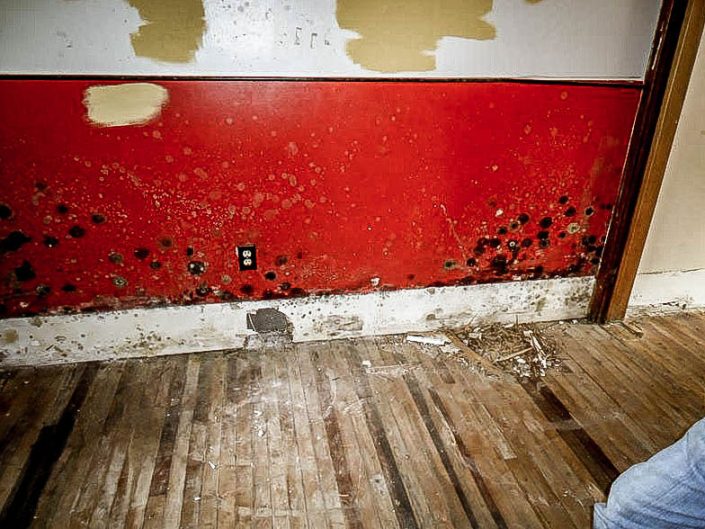 Mold Paneling Mold Paneling